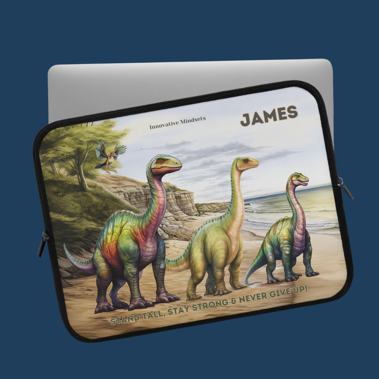 Laptop Sleeves